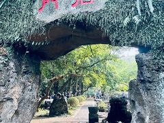-海口火山口国家地质公园