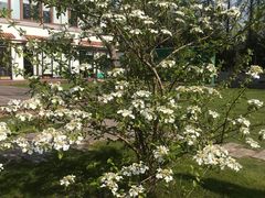 -前小桔亲子创意农场·草莓采摘·露营烧烤