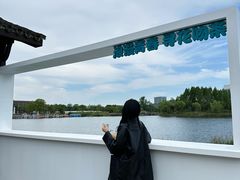 -杭州湾海上花田景区