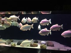 -成都浩海立方海洋公园