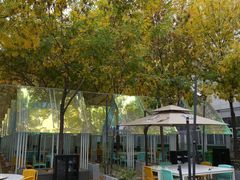 -香港狮子山下·明星粤菜餐厅(北苑店)