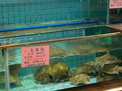 -荔城生鲜盛宴(番禺旗舰店)