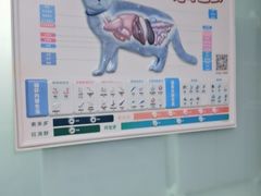 -半岛宠物医院24小时(科华中路店)