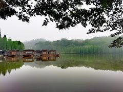 -三水森林公园