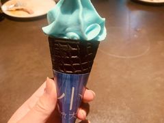 香草海盐冰淇淋-小大董·烤鸭(西单大悦城店)