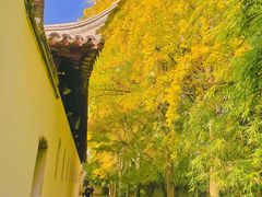 -西园戒幢律寺