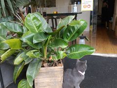 -春笙食堂.丼饭拉面寿司(GOGO新天地店)