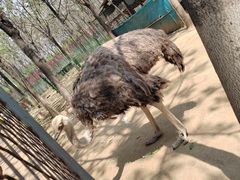 -草根堂农场