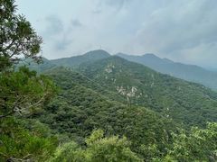 -北京鹫峰国家森林公园