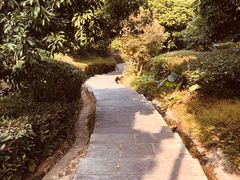-大屏嶂森林公园