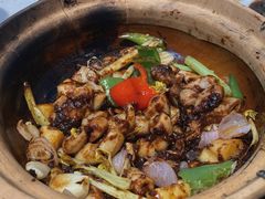 -天宝食坊·啫啫煲大排档(西华路店)