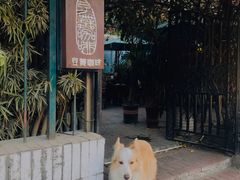 -豆舞咖啡(民乐路店)