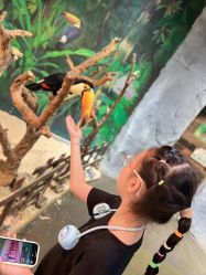 -Zoolung Zoolung动物主题公园(海信广场店)