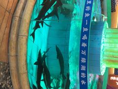 -年辉渔村·非遗传承餐厅(新丰江店)