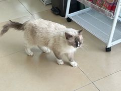 -美迦爱-牙专科·兔科·骨科诊疗中心(北苑店)