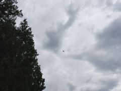 景点-永定河休闲森林公园