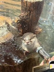 -Zoolung Zoolung动物主题公园(海信广场店)