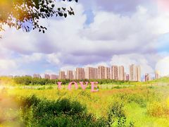 -丁香湖公园