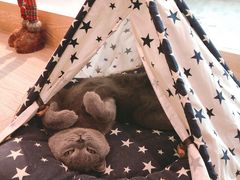 -iF摄影•全家福•证件照•形象照(南山店)