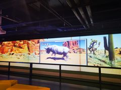 -VS SPORTS PARK运动玩乐园·团建·生日会(合生汇店)