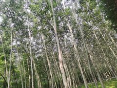 -秦皇岛野生动物园