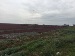 -红海滩国家风景廊道