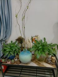 -北京炫美医疗美容