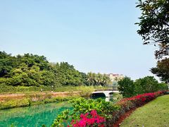-万绿园