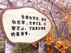 -香山公园