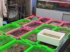 -众味海鲜大排档·活海鲜·潮汕味(南澳店)