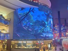 -云顶高原
