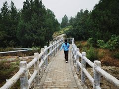 -白水寺森林公园