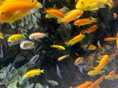 -太平洋海底世界