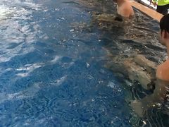 -宁海森林温泉