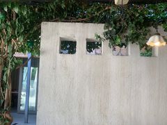 -大理老字号·舟渔的鱼野生菌海景餐厅(双廊店)