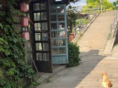 -西塘人家•黑金冠本地好店