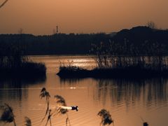 -池州市平天湖风景区