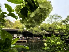 -惠山古镇·寄畅园