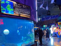 -烟台海昌鲸鲨海洋公园