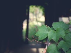 -书隐楼