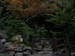 -戏马台景区