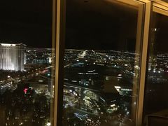 -拉斯维加斯永利酒店