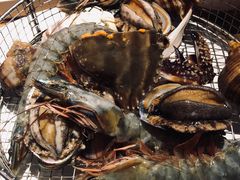 黄蚬子-海味当家·蒸锅海鲜(星海公园店)
