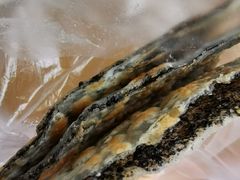 -月亮饼香烟店(翠竹新村店)