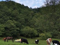 -大水川景区
