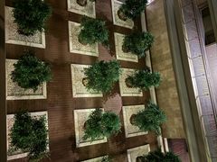 -南京禄口机场雅高铂尔曼大酒店