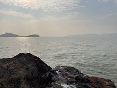 -上海市保健医疗中心