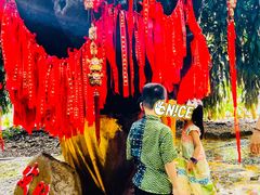 -瑞丽独树成林风景区