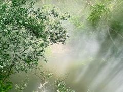 -江苏三台山国家森林公园