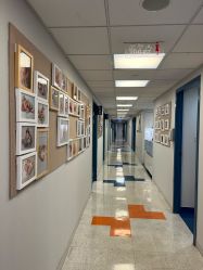 点击看大图 -杭州贝瑞斯美华妇儿医院·早孕·产检·儿科